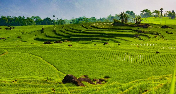 Randonnée à la réserve naturelle de Pu Luong