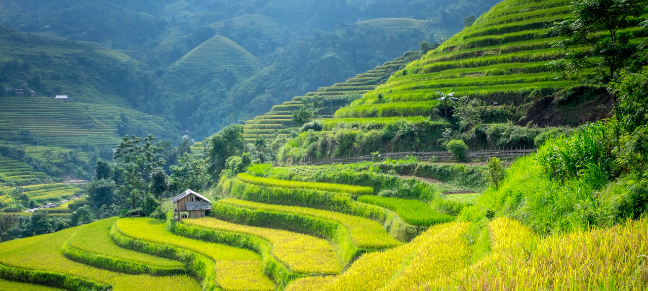 Randonnée à Sapa - Tour Privé